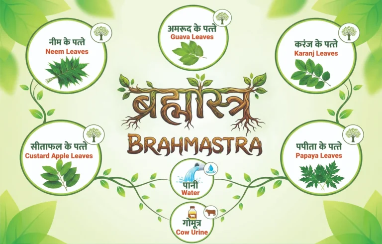 Brahmastra