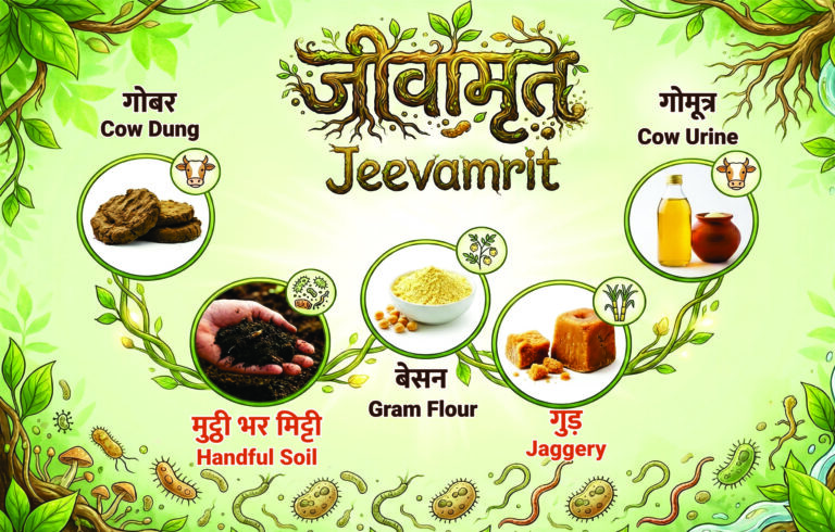 Jeevamrit